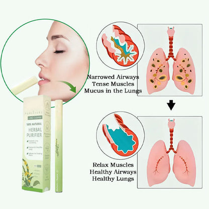 Jöro™ | Clears Lungs, Calms Cravings & Supports Nicotine-Free Living in 7 Days