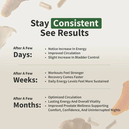 Vital Boost Wellness Bundle Pro